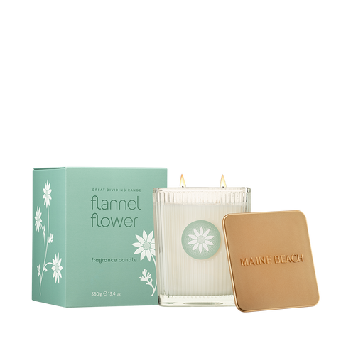 Flannel Flower Fragrance Candle 380gm