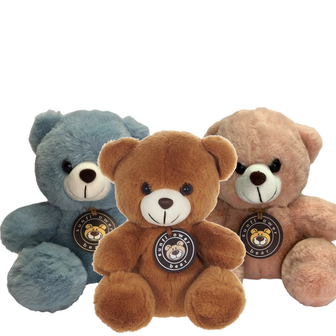 Teddy Bear (20cm) available in pink, blue, brown or grey