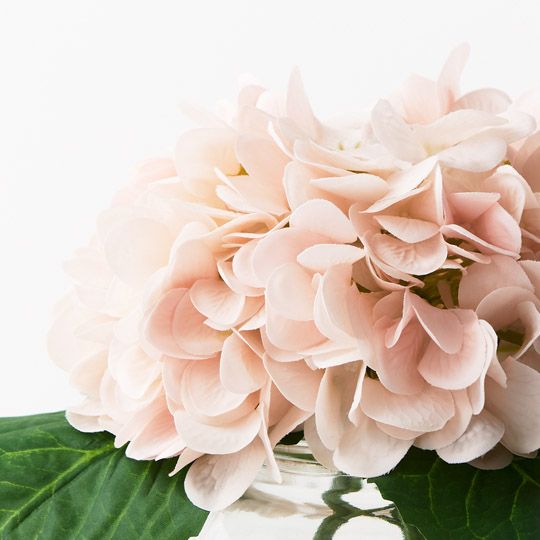 Hydrangea Mix in Glass Vase - Soft Pink