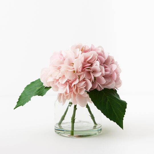 Hydrangea Mix in Glass Vase - Light Pink