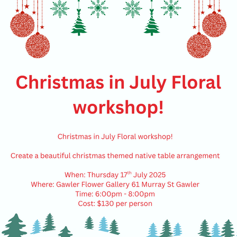 Christmas in July!