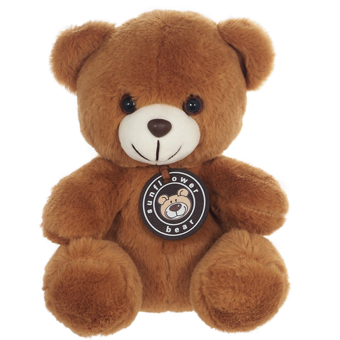 Small Teddy Bear (20cm) available in pink, blue or brown