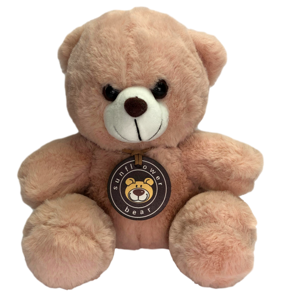 Small Teddy Bear (20cm) available in pink, blue or brown